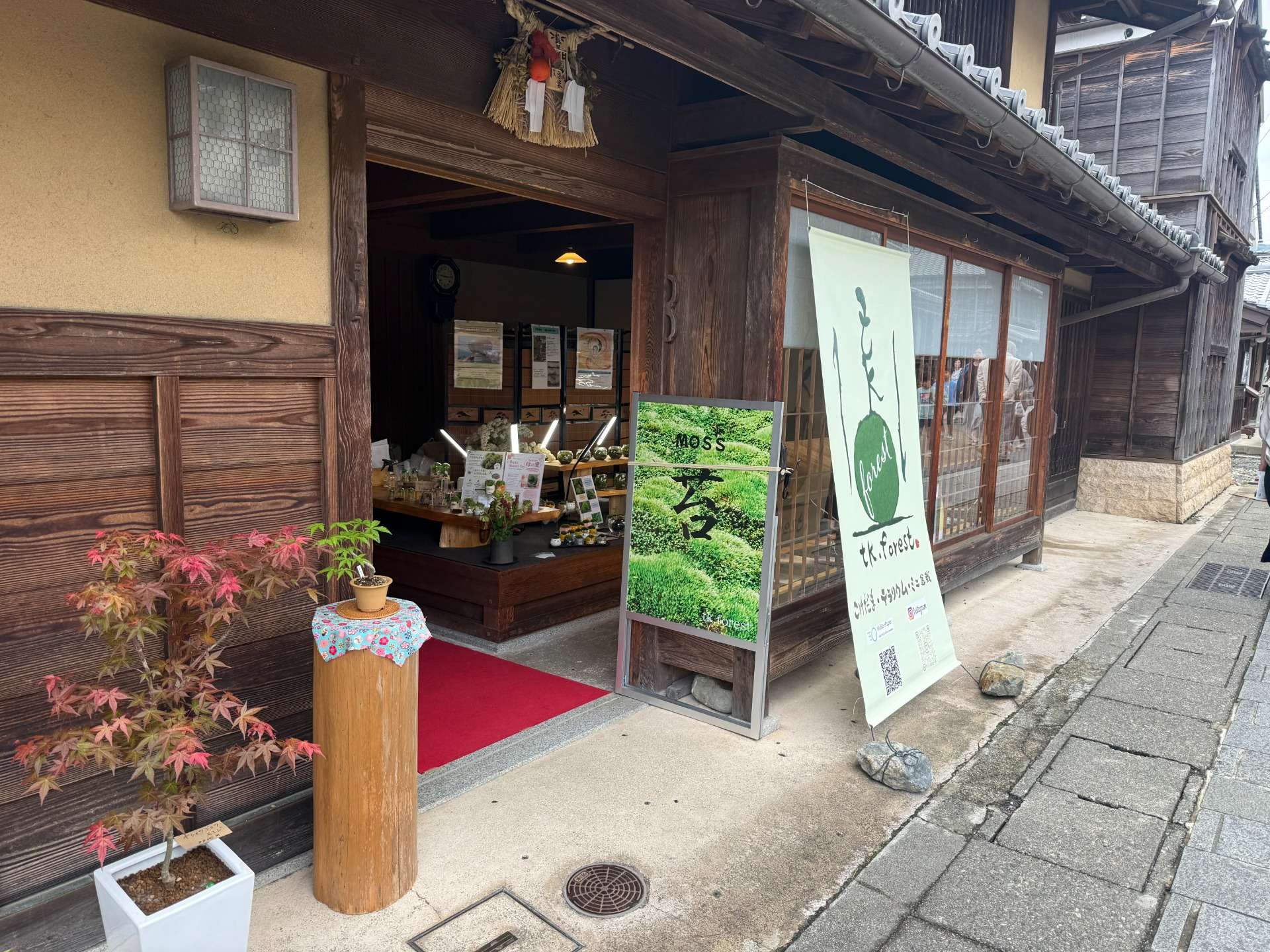 GW出店終了しました | ブログ | 三重でコケテラリウムならtk.forest