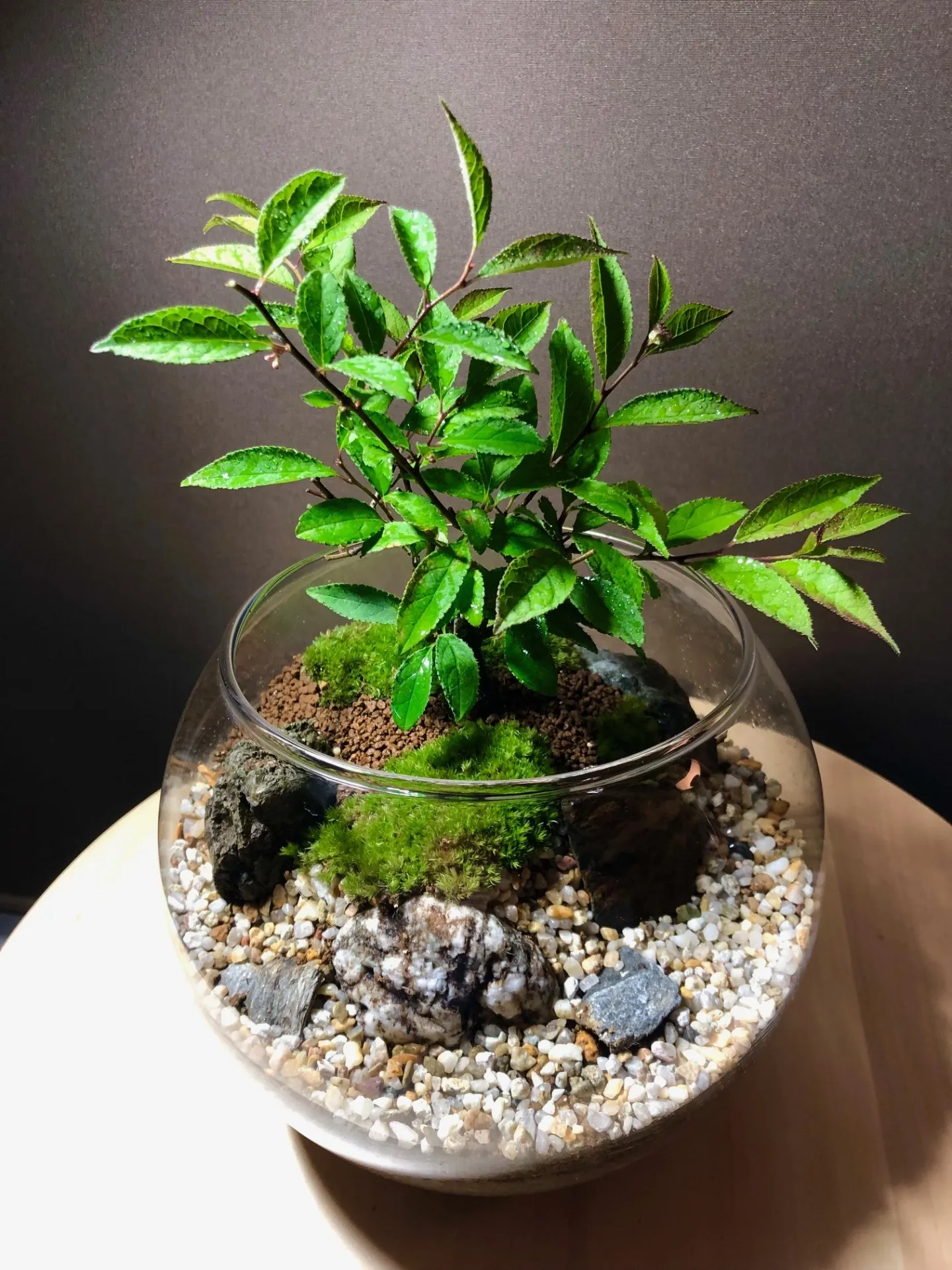 tk.forest株式会社