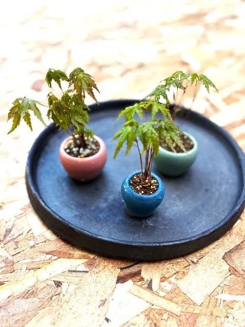 プチワークショップ開催🍀