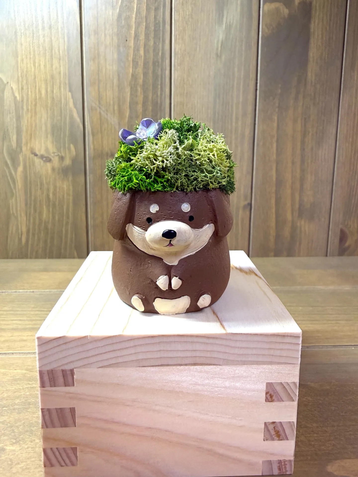 動物プリザ