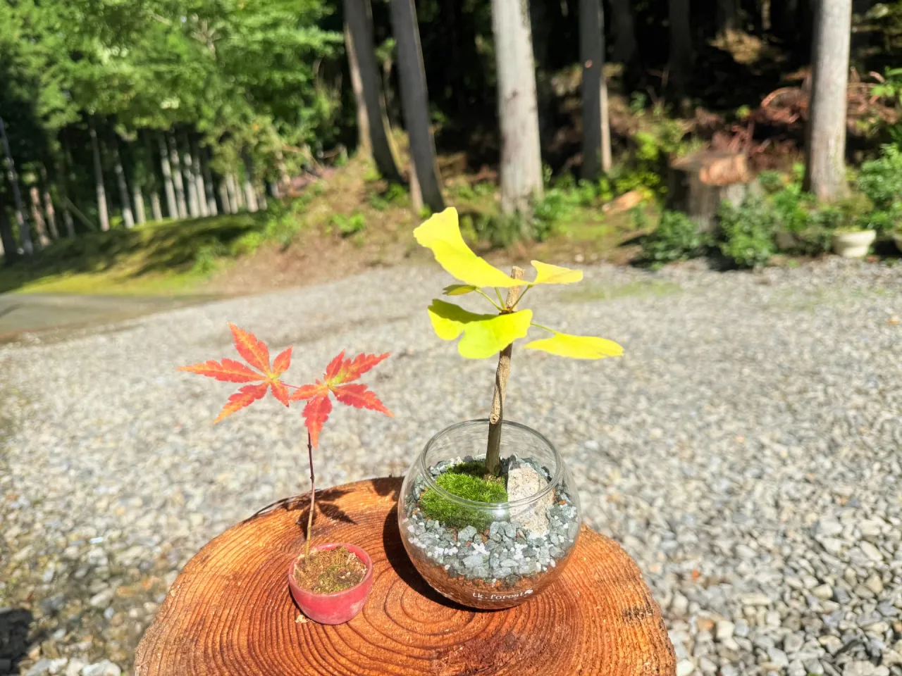 秋の気配